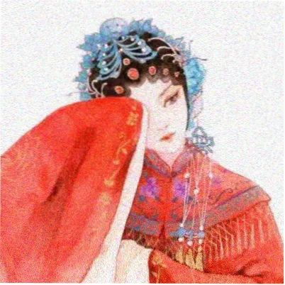 读者山雀的头像